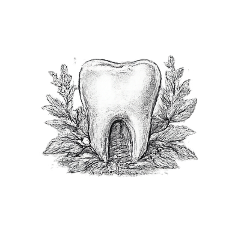 Dental Health