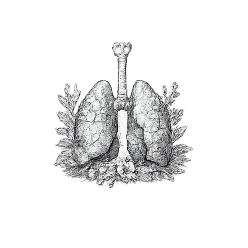 Respiratory Health