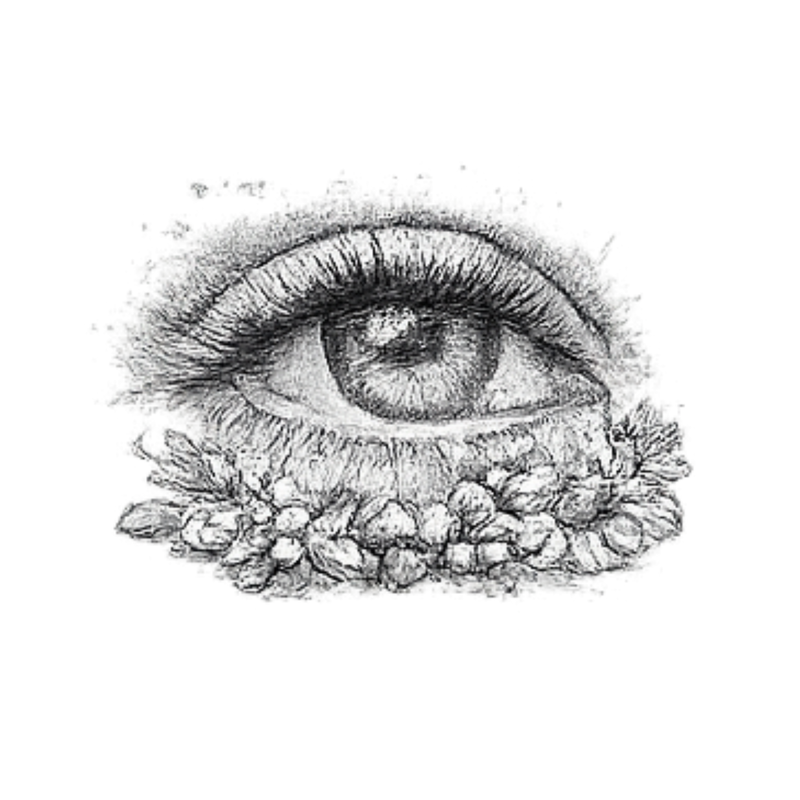 Vision & Eye Health