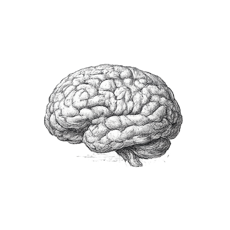 BRAIN HEALTH