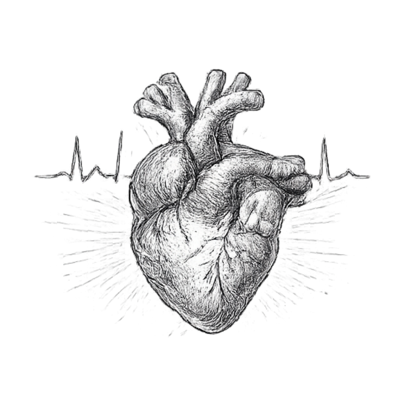 HEART HEALTH